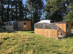 Education chien entre Bosc le Hard et Saint Saens