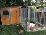 Educateur Canin en Seine Maritime 76