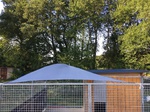 Education chien entre Bosc le Hard et Saint Saens