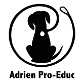 Adrien Pro-Educ - Une éducation adaptée et personnalisée